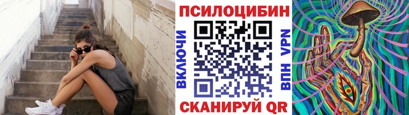 Галлюциногенные грибы Psilocybe  Кремёнки 